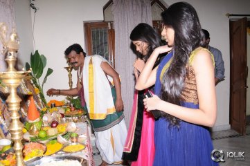 Gaddam Gang Movie Opening